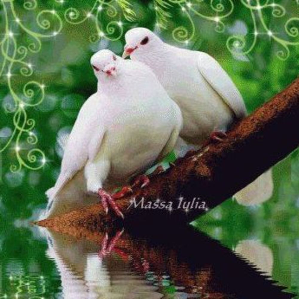 Meet your Posher, Trinni